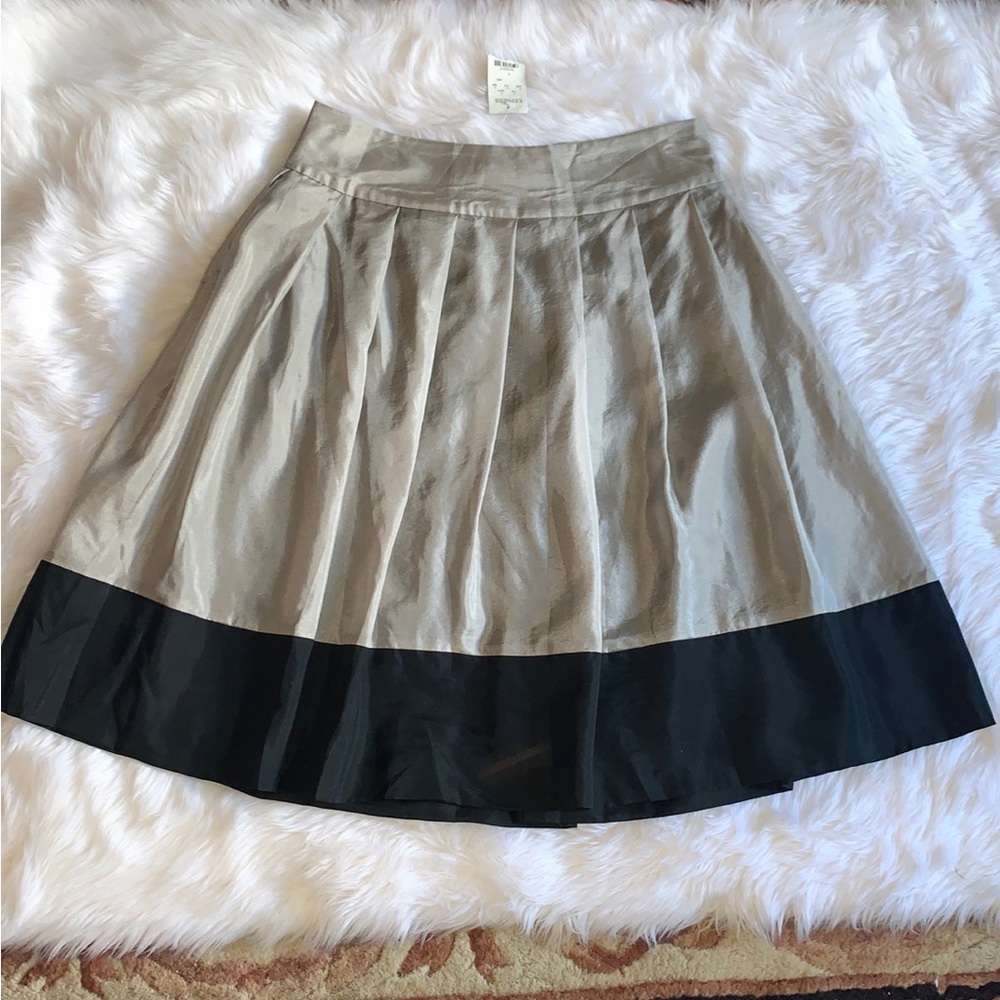 Express silk skirt